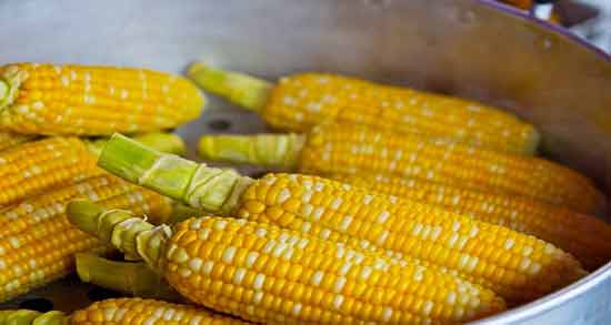 تعبیر خواب ذرت برای دختر مجرد معنی ذرت برای دختر مجرد در خواب چیست