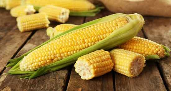 تعبیر خواب ذرت نی نی سایت معنی ذرت در خواب های ما چیست