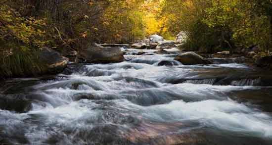تعبیر خواب رودخانه در خانه معنی رودخانه در خانه در خواب های ما چیست