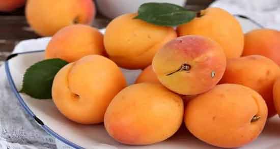 تعبیر خواب زردآلو ابن سیرین معنی زردآلو در خواب های ما از نظر ابن سیرین چیست