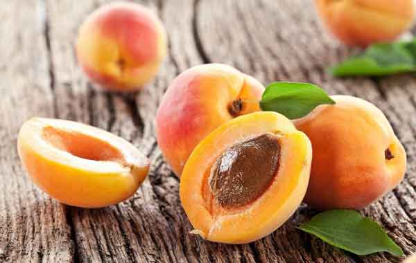 تعبیر خواب زردآلو نی نی سایت + معنی زردآلو در خواب های ما چیست