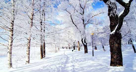 تعبیر خواب زمستان حضرت یوسف معنی زمستان در خواب های ما از نظر حضرت یوسف چیست