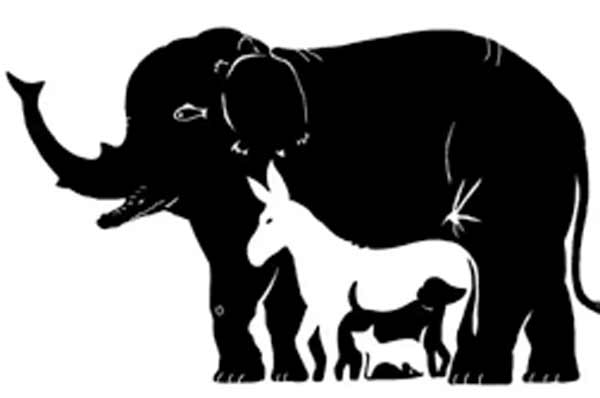 تعبیر خواب سایه حیوان + معنی سایه حیوان در خواب چیست