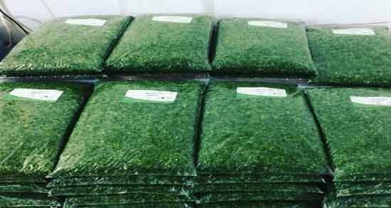 تعبیر خواب سبزی خورشتی خریدن ، معنی سبزی خورشتی خریدن در خواب های ما چیست