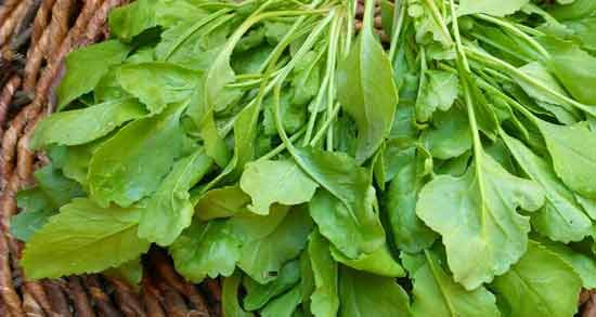 تعبیر خواب سبزی شاهی ، معنی سبزی شاهی در خواب های ما چیست