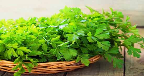 تعبیر خواب سبزی گشنیز ، معنی سبزی گشنیز در خواب های ما چیست