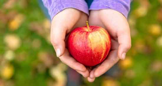 تعبیر خواب سیب امام صادق معنی سیب در خواب های ما از نظر امام صادق چیست