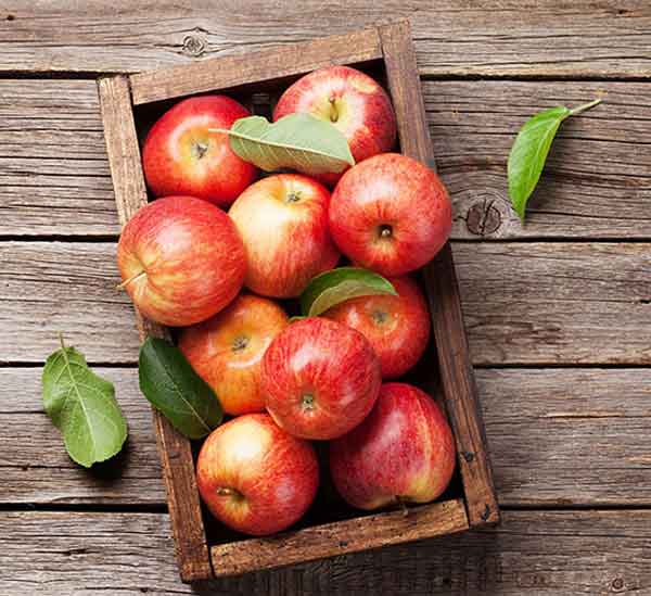 تعبیر خواب سیب دادن به زن حامله + معنی سیب دادن به زن حامله در خواب های ما چیست