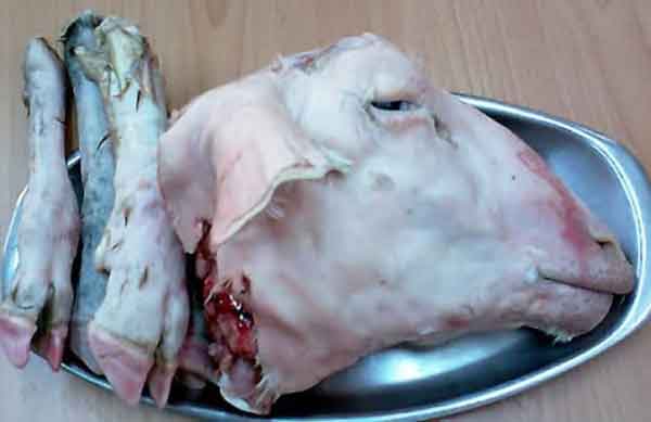 تعبیر خواب شستن کله پاچه چیست + معنی شستن کله پاچه در خواب