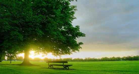 تعبیر خواب صبح ابن سیرین معنی صبح در خواب های ما از نظر ابن سیرین چیست