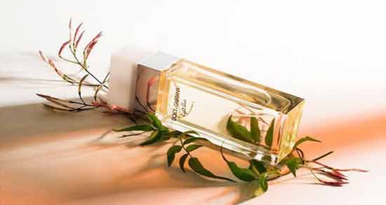 تعبیر خواب عطر برای دختر مجرد معنی عطر برای دختر مجرد در خواب چیست