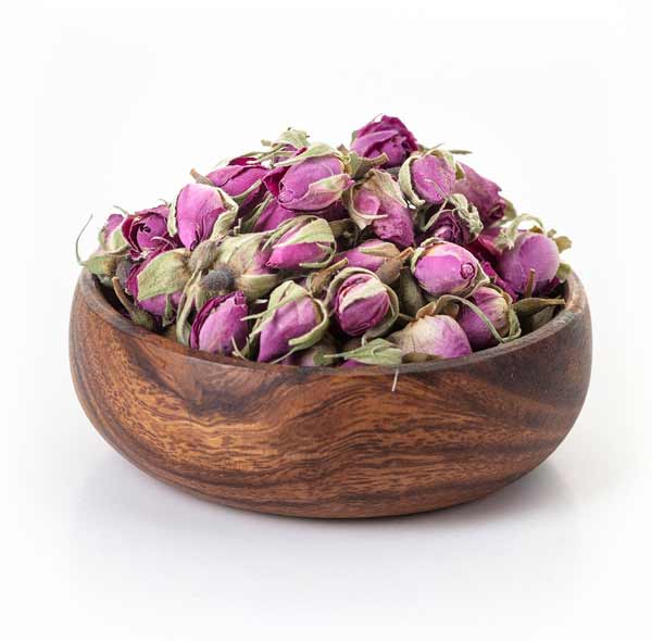 تعبیر خواب غنچه گل محمدی تازه + معنی غنچه گل محمدی تازه چیست