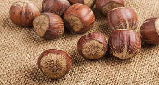 تعبیر خواب فندق ابن سیرین معنی فندق در خواب های ما از نظر ابن سیرین چیست