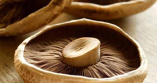 تعبیر خواب قارچ سیاه معنی قارچ سیاه در خواب های ما چیست