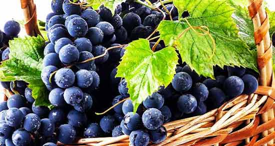 تعبیر خواب میوه سیاه معنی میوه سیاه در خواب های ما چیست