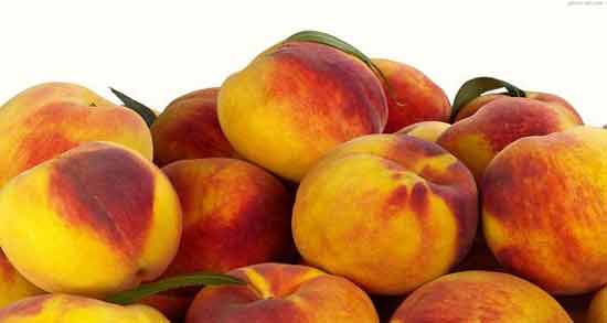 تعبیر خواب هلو برای دختر مجرد معنی هلو برای دختر مجرد در خواب چیست