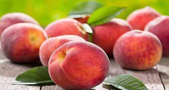 تعبیر خواب هلو خوردن زن باردار معنی هلو خوردن زن باردار در خواب چیست تعبیر خواب هلو خوردن زن باردار معنی هلو خوردن زن باردار در خواب چیست