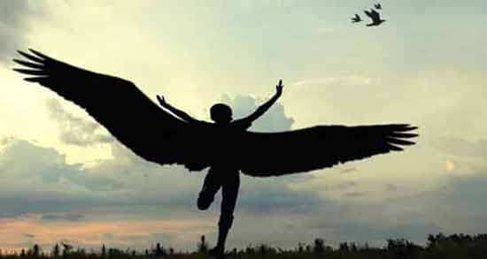 تعبیر خواب پرواز در جنگل معنی تعبیر خواب پرواز در جنگل در خواب های ما چیست