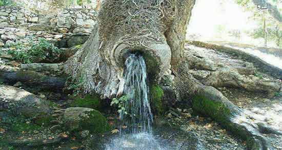 تعبیر خواب چشمه ابن سیرین معنی چشمه در خواب های ما از نظر ابن سیرین چیست