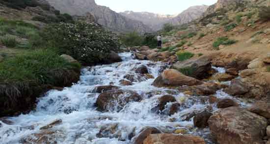 تعبیر خواب چشمه حضرت یوسف معنی چشمه در خواب های ما از نظر حضرت یوسف چیست