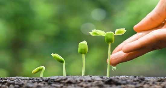 تعبیر خواب کاشت یونجه ، معنی کاشت یونجه در خواب های ما چیست