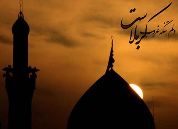 تعبیر خواب کربلا رفتن نی نی سایت + معنی کربلا رفتن در خواب چیست