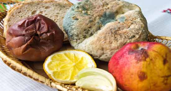 تعبیر خواب کپک زدن غذا معنی کپک زدن غذا در خواب های ما چیست