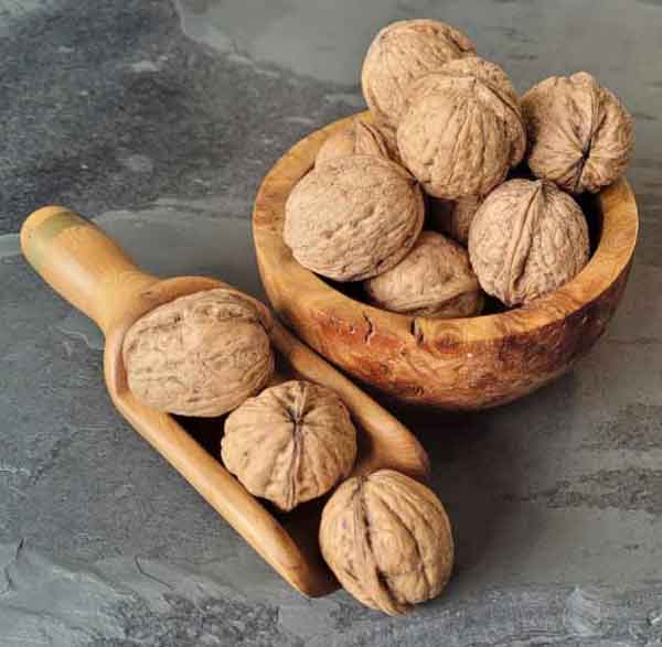 تعبیر خواب گردو گرفتن از مادر + معنی گردو گرفتن از مادر در خواب های ما چیست