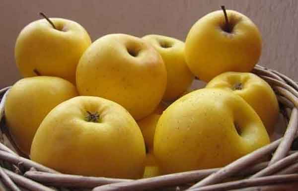 تعبیر خواب گرفتن سیب زرد از مرده + معنی گرفتن سیب زرد از مرده در خواب های ما چیست 