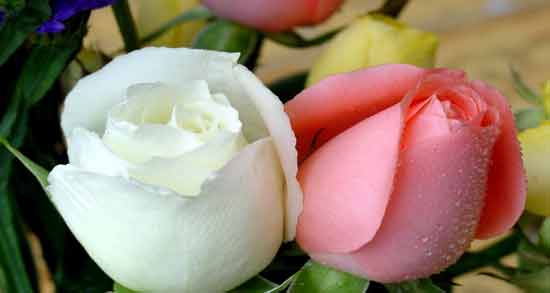 تعبیر خواب گل سفید خوشبو معنی گل سفید خوشبو در خواب های ما چیست