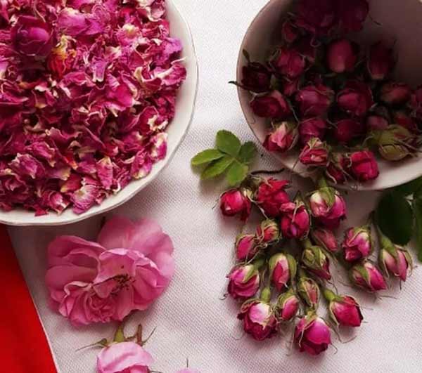 تعبیر خواب گل محمدی هدیه گرفتن + معنی گل محمدی هدیه گرفتن چیست