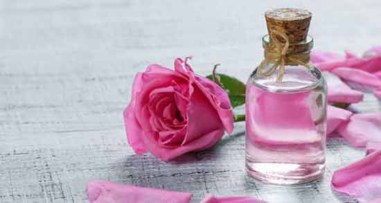 تعبیر خواب گلاب حضرت یوسف ، معنی گلاب در خواب های ما از نظر حضرت یوسف چیست