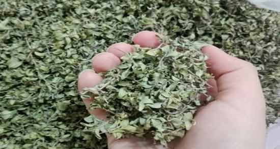 تفاوت آویشن و کاکوتی ؛ بررسی تفاوت های بین آویشن و کاکوتی
