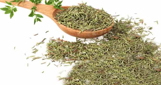 تفاوت آویشن کوهی و شیرازی ؛ چه تفاوت هایی بین آویشن کوهی و شیرازی وجود دارد