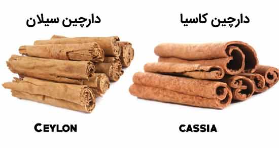 تفاوت دارچین کاسیا و سیلان ؛ بررسی تفاوت های بین دارچین کاسیا و دارچین سیلان