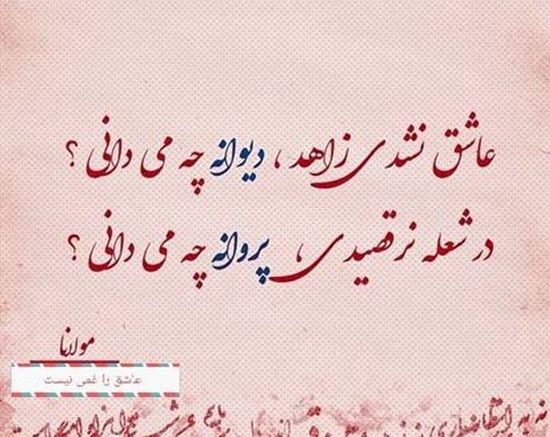 تک بیتی عاشقانه از شاعران مختلف + عکس نوشته های زیبای احساسی و رمانتیک