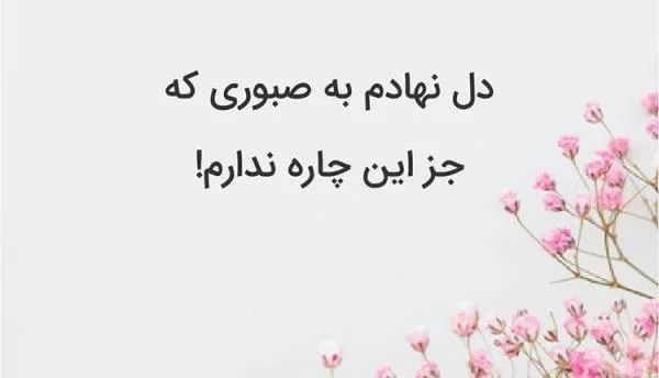 تک بیتی کنایه ای و نیش دار عاشقانه و فلسفه ای