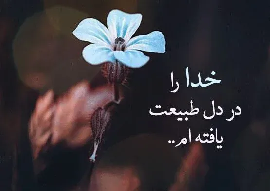 جملات احساسی در مورد گل (50 متن و شعر در مورد گل های زیبا)