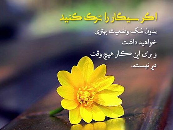 جملات انگیزشی زیبا برای ترک سیگار (متن های تاثیرگذار و تاکیدی زیبا)