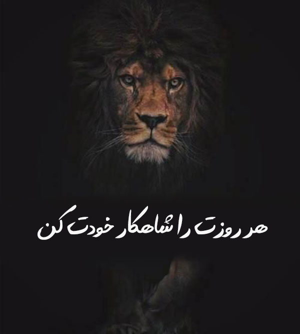 جملات انگیزشی کوتاه برای تلاش و رسیدن به هدف {جملات و متن انگیزشی جدید}