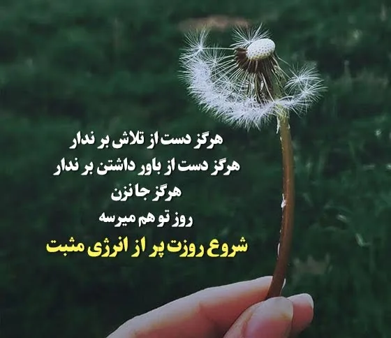 جملات شروع روز جدید کوتاه؛ 70 جمله انگیزه دهنده یک روز خوب
