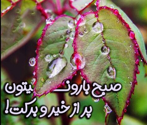 جملات صبح بخیر بارانی + پیام و جمله کوتاه صبح بخیر روز بارانی به دوستان و به عشق زندگی