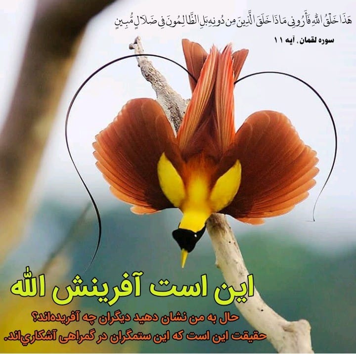 جملات قرآنی زیبا؛ زیباترین متن های مذهبی از قرآن کتاب خدا