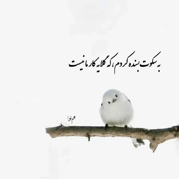 جملات ناب استوری (گلچین 80 متن کوتاه و جدید Story اینستا و واتساپ)