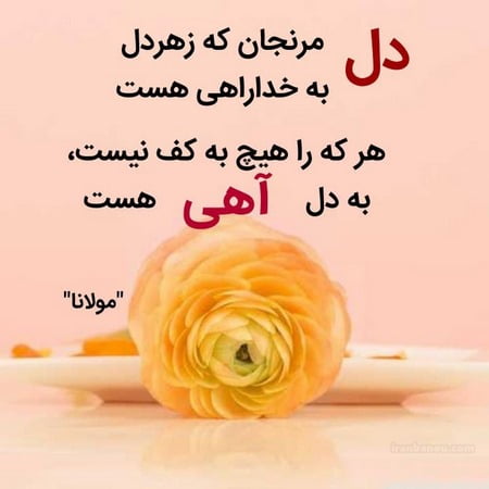 جملات نیش دار برای فامیل بد و دوست ناجور با عکس نوشته کنایه ای