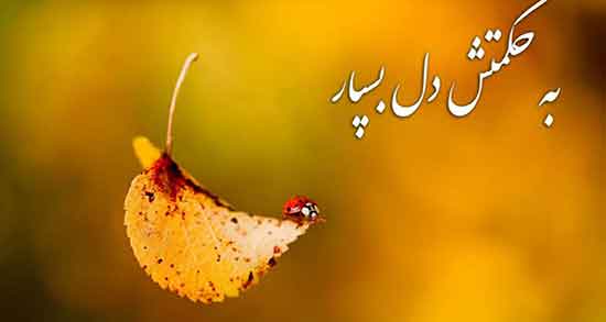 جملات و متن های زیبا در مورد حکمت خدا + 30 جمله تاثیرگذار