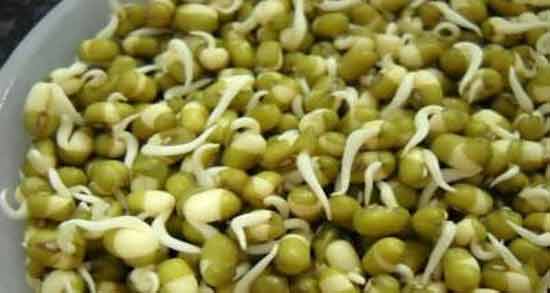 جوانه ماش و تنبلی تخمدان ؛ همه چیز درباره خاصیت خوردن جوانه ماش برای تنبلی تخمدان