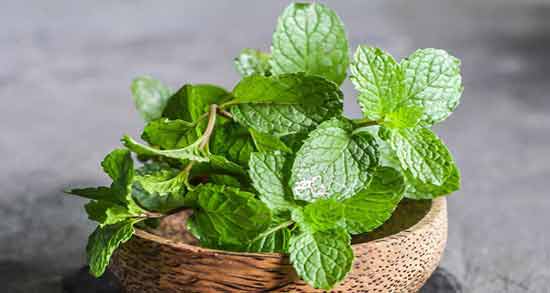 جوشانده نعناع برای مو و آشنایی با فواید مصرف دمنوش نعناع برای حفظ سلامت مو