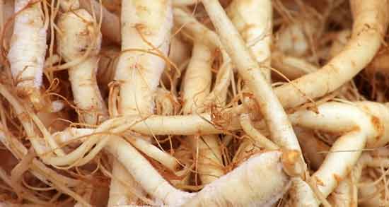 جینسینگ برای افزایش قد نی نی سایت ؛ فواید استفاده از جینسینگ برای بلند شدن قد