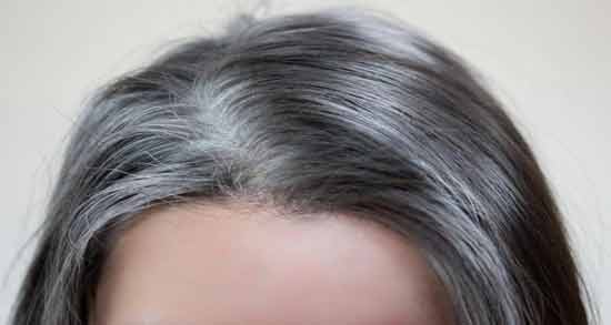 جینسینگ برای سفیدی مو ؛ استفاده از جینسینگ برای درمان سفیدی مو